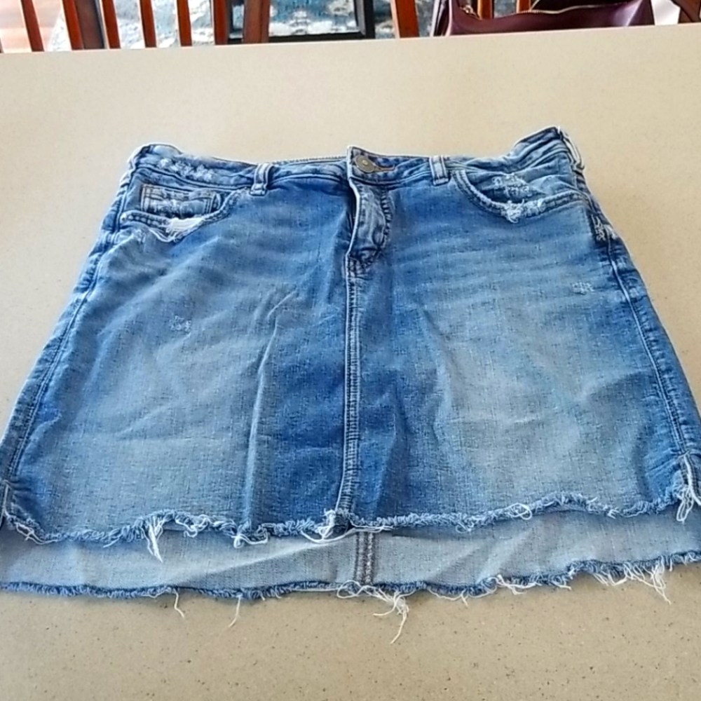 Silver Skirt